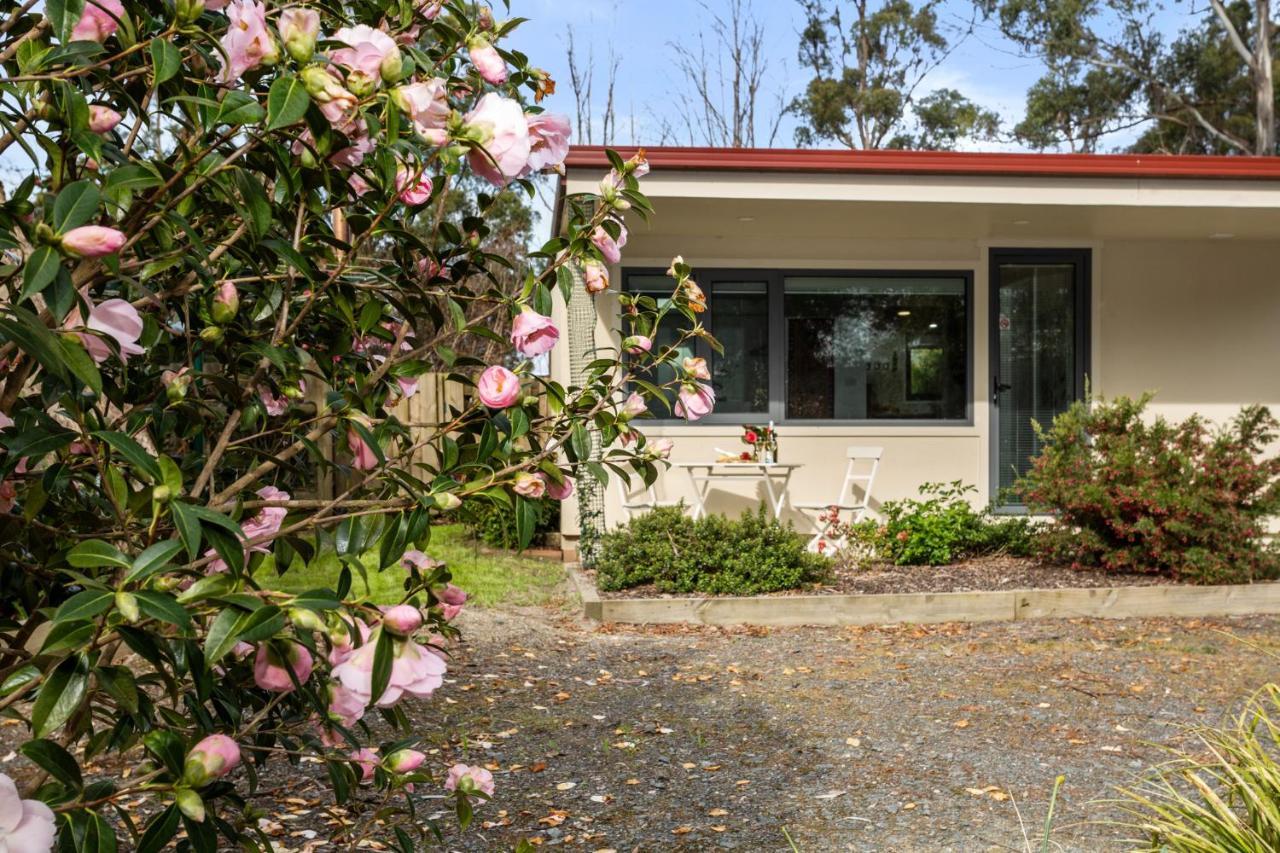Karoola Cottage Self Contained Lilydale Exterior foto